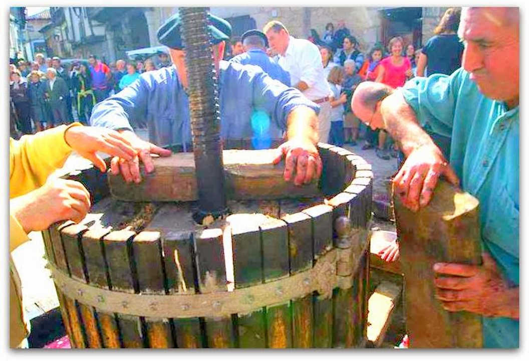 San MartÃ­n del CastaÃ±ar